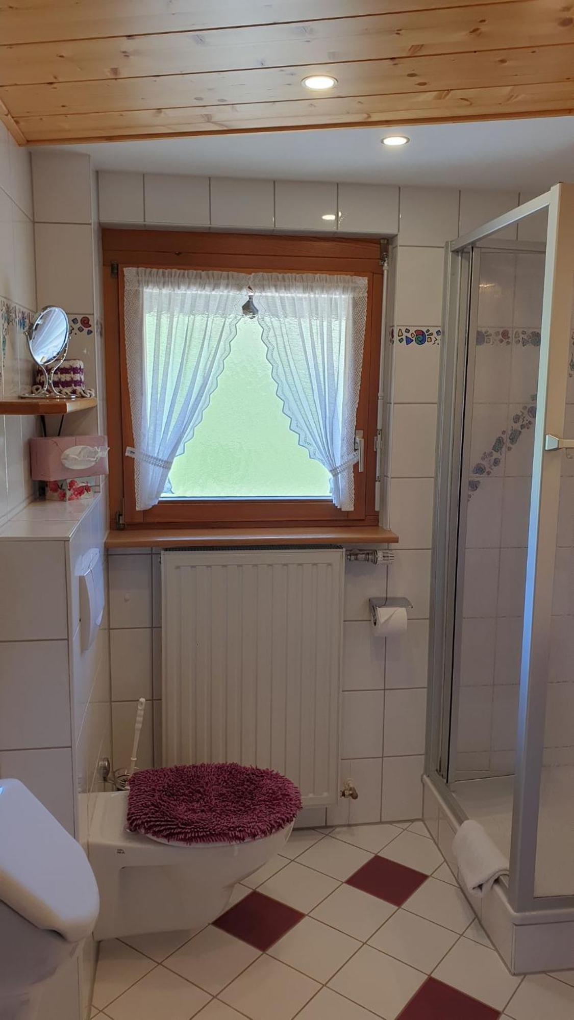 Dachsberg im SchwarzwaldHaus Am Kreuzbuehlアパートメント エクステリア 写真