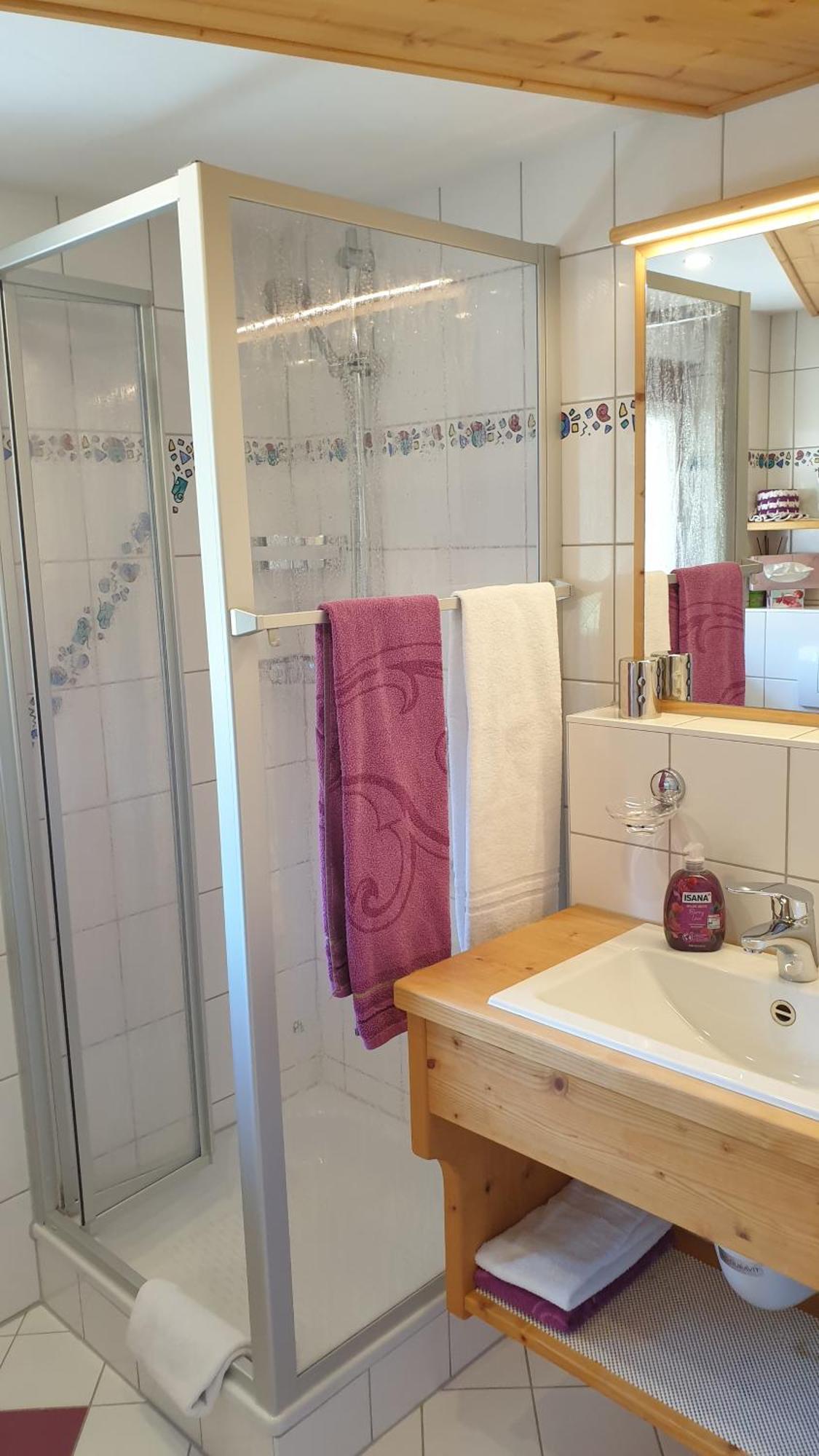 Dachsberg im SchwarzwaldHaus Am Kreuzbuehlアパートメント エクステリア 写真