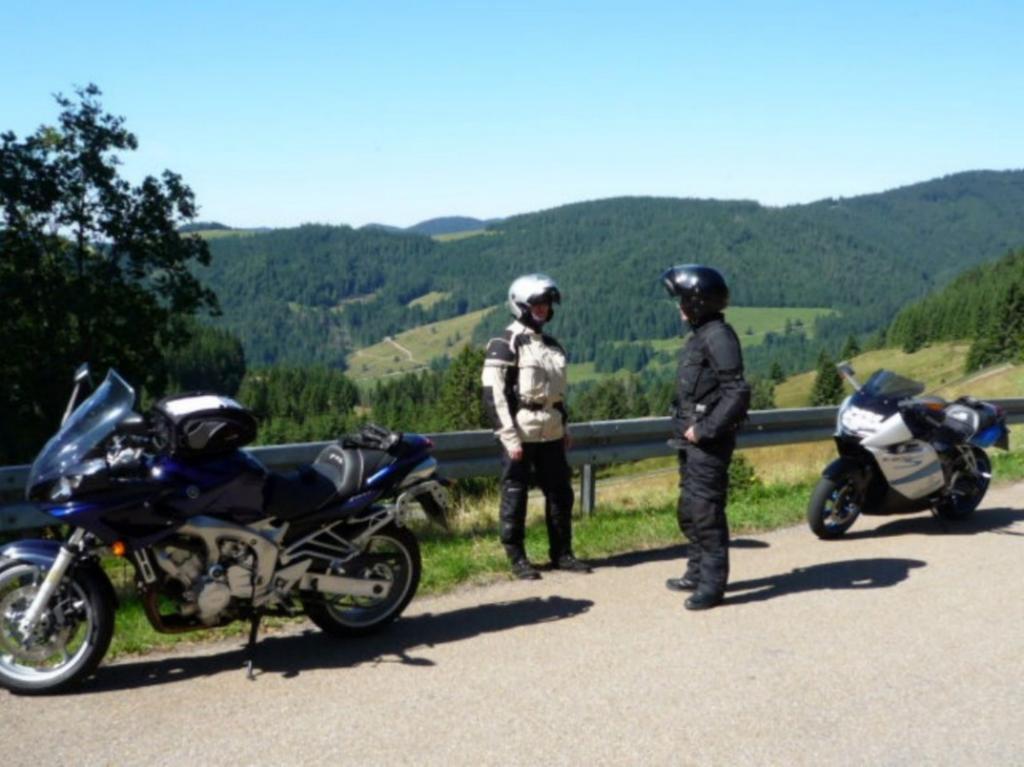 Dachsberg im SchwarzwaldHaus Am Kreuzbuehlアパートメント エクステリア 写真