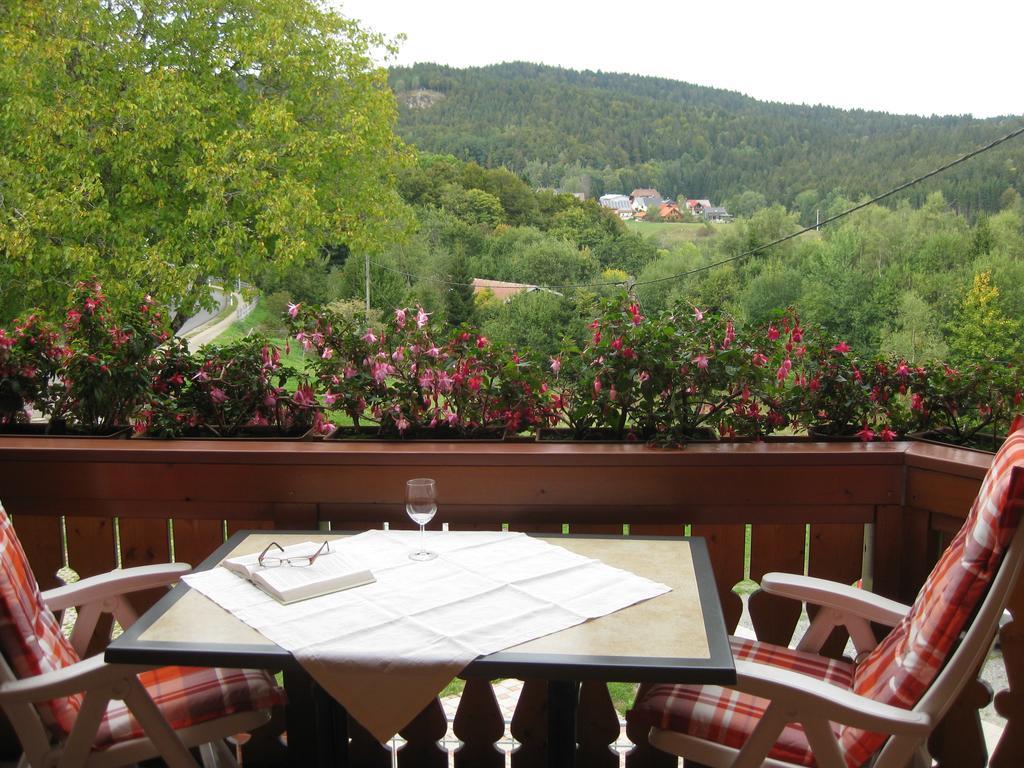 Dachsberg im SchwarzwaldHaus Am Kreuzbuehlアパートメント エクステリア 写真