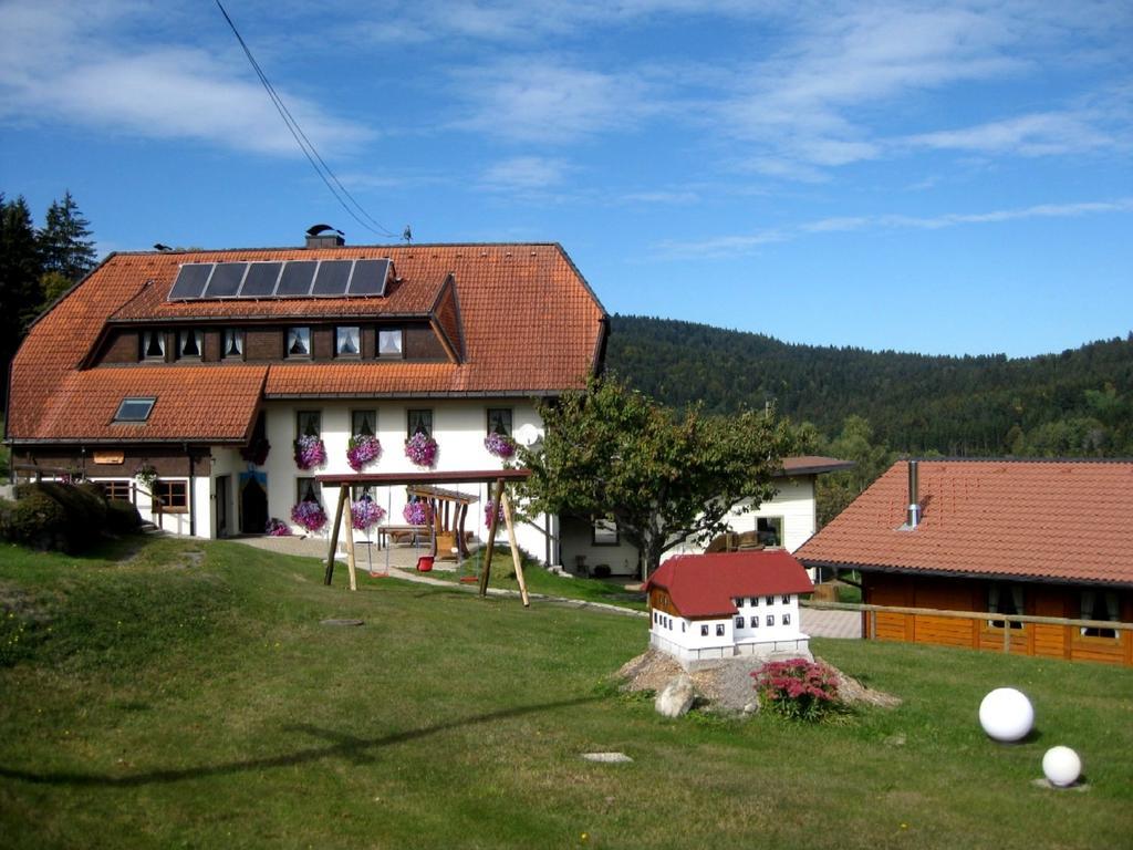 Dachsberg im SchwarzwaldHaus Am Kreuzbuehlアパートメント エクステリア 写真