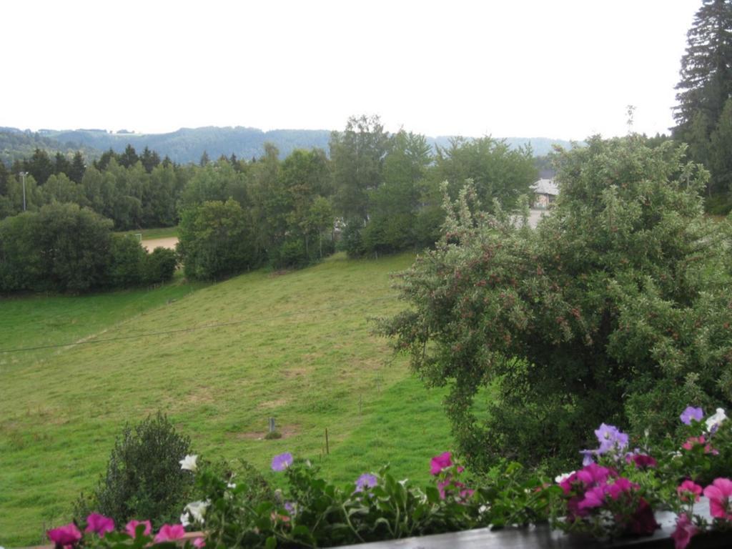 Dachsberg im SchwarzwaldHaus Am Kreuzbuehlアパートメント エクステリア 写真