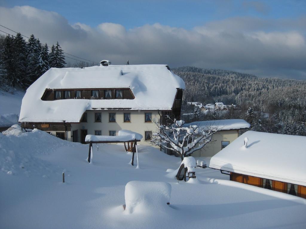 Dachsberg im SchwarzwaldHaus Am Kreuzbuehlアパートメント エクステリア 写真