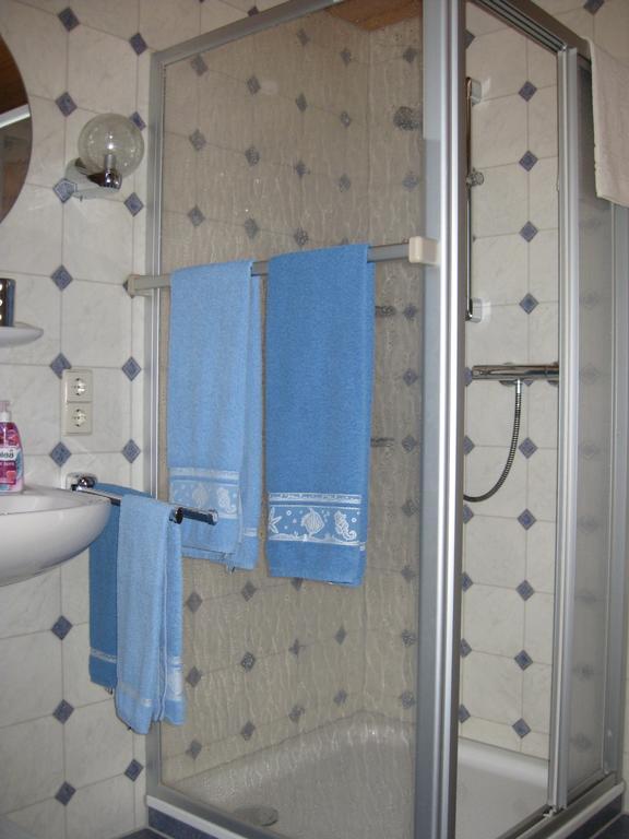 Dachsberg im SchwarzwaldHaus Am Kreuzbuehlアパートメント エクステリア 写真