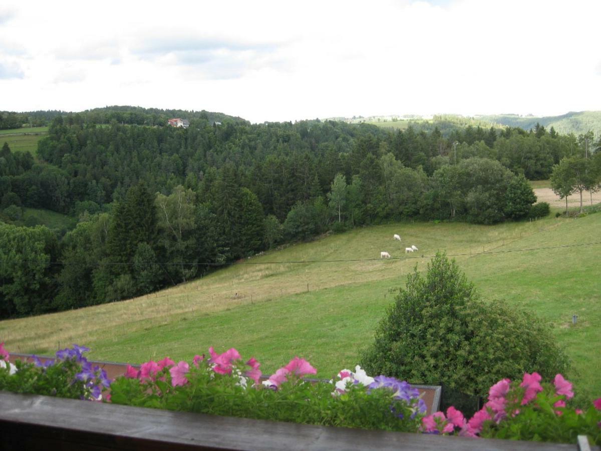 Dachsberg im SchwarzwaldHaus Am Kreuzbuehlアパートメント エクステリア 写真