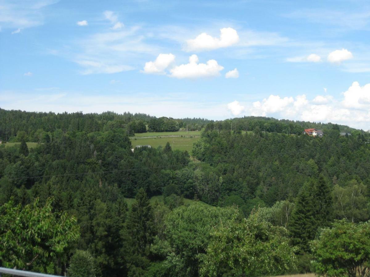 Dachsberg im SchwarzwaldHaus Am Kreuzbuehlアパートメント エクステリア 写真